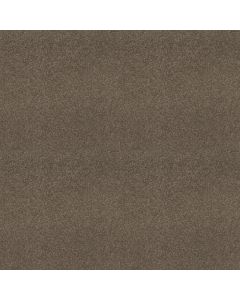 Shaw MY DESTINATION III Flax Carpet - SH-5C777-00751