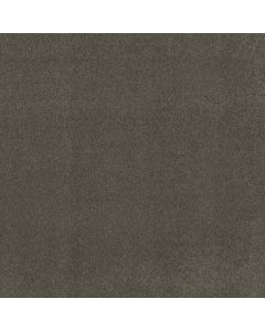 Shaw MY DESTINATION III Graphite Carpet - SH-5C777-00754