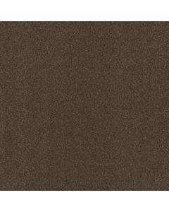 Shaw MY DESTINATION III Weathered Wood Carpet - SH-5C777-00759