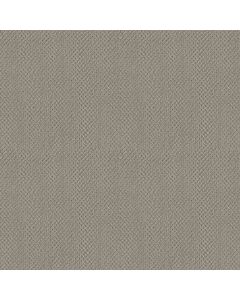 Shaw TRUE REFLECTIONS LOOP Ash Carpet - SH-5C782-00550