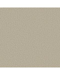 Shaw FREE TIME Sailcloth Carpet - SH-5C787-00100
