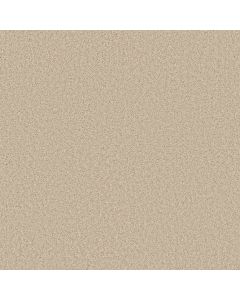 Shaw FREE TIME Sand Dollar Carpet - SH-5C787-00106