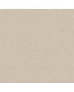 Shaw MOMENT OF TRUTH Royal Silk Carpet - SH-5C789-00100