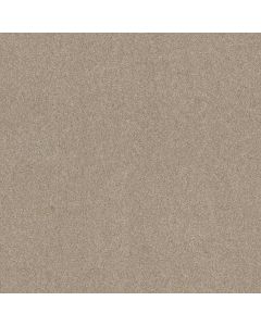Shaw MOMENT OF TRUTH French Canvas Carpet - SH-5C789-00102