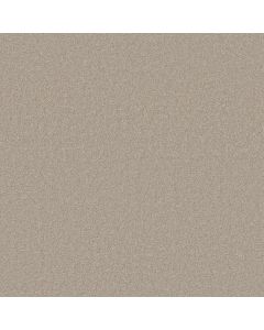 Shaw MOMENT OF TRUTH Linen Carpet - SH-5C789-00104