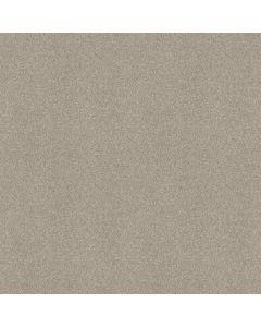 Shaw MOMENT OF TRUTH Greige Carpet - SH-5C789-00106