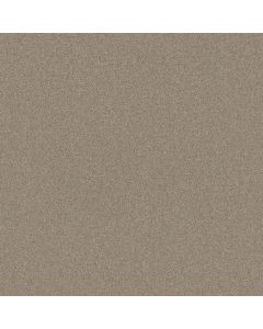 Shaw MOMENT OF TRUTH Doeskin Carpet - SH-5C789-00112