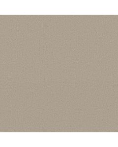 Shaw HONEST TO GOODNESS Marble Carpet - SH-5C793-00113