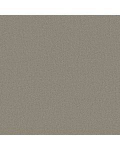 Shaw HONEST TO GOODNESS Sterling Carpet - SH-5C793-00500