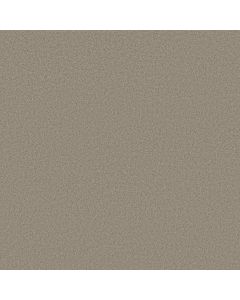Shaw HONEST TO GOODNESS Picture Frame Carpet - SH-5C793-00510