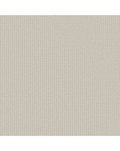 Shaw AERIAL ARTS Cotton Carpet - SH-5E040-00100