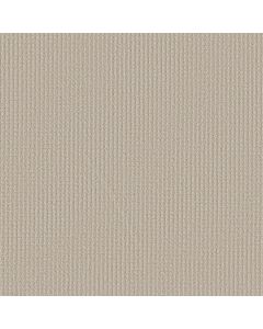 Shaw AERIAL ARTS Canvas Carpet - SH-5E040-00103
