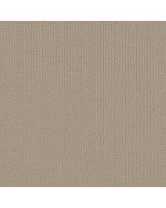 Shaw AERIAL ARTS Tiramisu Carpet - SH-5E040-00104