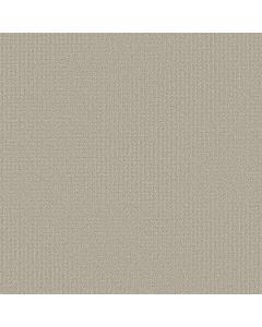 Shaw AERIAL ARTS Spun Wool Carpet - SH-5E040-00105