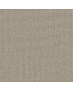 Shaw AERIAL ARTS Natural Stone Carpet - SH-5E040-00106