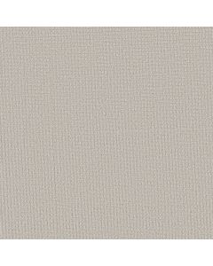 Shaw AERIAL ARTS Frost Carpet - SH-5E040-00500
