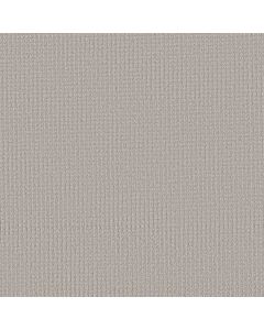 Shaw AERIAL ARTS Haze Carpet - SH-5E040-00501