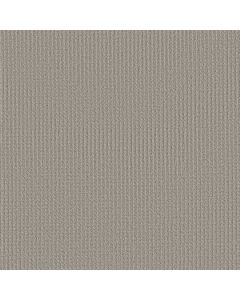 Shaw AERIAL ARTS Powder Grey Carpet - SH-5E040-00502