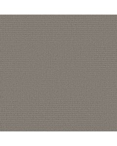 Shaw AERIAL ARTS Dark Slate Carpet - SH-5E040-00503