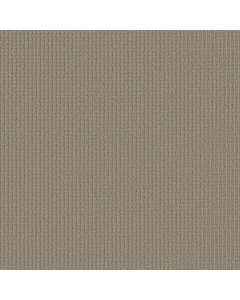 Shaw AERIAL ARTS Burnished Clay Carpet - SH-5E040-00701