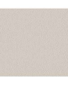 Shaw AERIAL VIEW Cotton Carpet - SH-5E041-00100