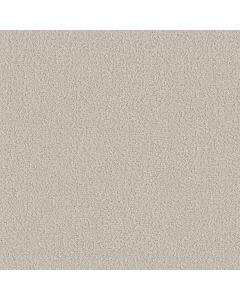 Shaw AERIAL VIEW Soft Linen Carpet - SH-5E041-00102