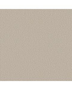 Shaw AERIAL VIEW Canvas Carpet - SH-5E041-00103