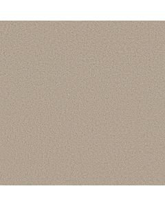 Shaw AERIAL VIEW Tiramisu Carpet - SH-5E041-00104