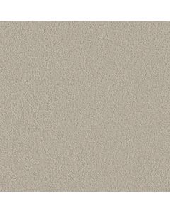 Shaw AERIAL VIEW Spun Wool Carpet - SH-5E041-00105