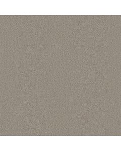 Shaw AERIAL VIEW Natural Stone Carpet - SH-5E041-00106