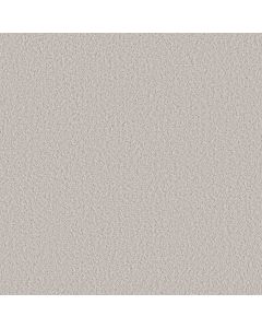 Shaw AERIAL VIEW Frost Carpet - SH-5E041-00500