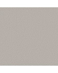 Shaw AERIAL VIEW Haze Carpet - SH-5E041-00501