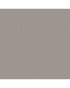 Shaw AERIAL VIEW Powder Grey Carpet - SH-5E041-00502