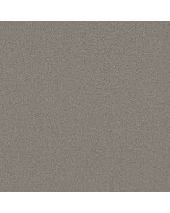 Shaw AERIAL VIEW Dark Slate Carpet - SH-5E041-00503