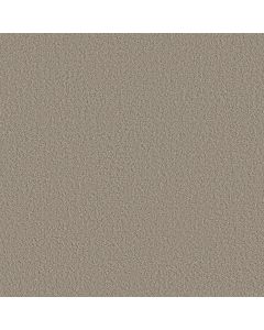 Shaw AERIAL VIEW Artisan Taupe Carpet - SH-5E041-00700