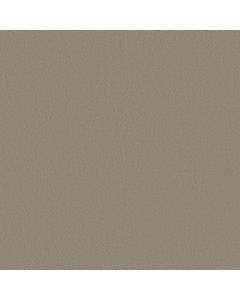 Shaw AERIAL VIEW Burnished Clay Carpet - SH-5E041-00701