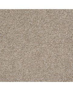 Shaw POISED Quiet Tan Carpet - SH-5E042-00112