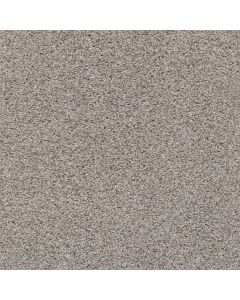 Shaw POISED Great Greige Carpet - SH-5E042-00114
