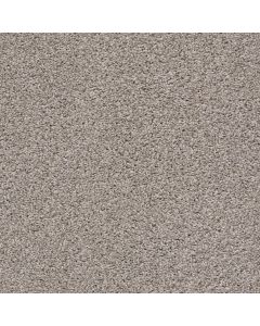 Shaw POISED Winter Birch Carpet - SH-5E042-00510