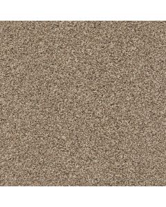 Shaw POISED Brown Sugar Carpet - SH-5E042-00710