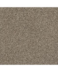 Shaw POISED Chic Taupe Carpet - SH-5E042-00714