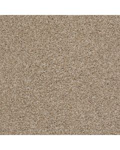 Shaw POISED Artisan Carpet - SH-5E042-00720