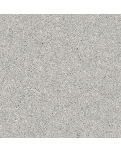 Shaw AFTER ALL I Shadow Carpet - SH-5E044-00522