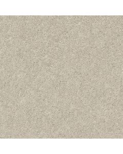 Shaw AFTER ALL I Bird House Carpet - SH-5E044-00720