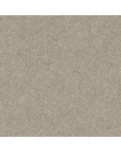 Shaw AFTER ALL II Bird House Carpet - SH-5E045-00720