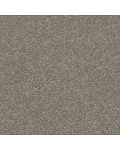 Shaw AFTER ALL II Rustic Taupe Carpet - SH-5E045-00722