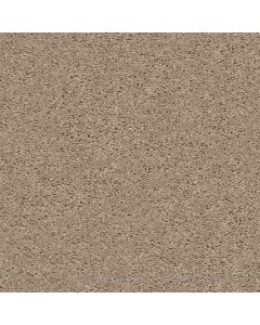 Shaw BREAK AWAY - SOLID Wheat Field Carpet - SH-5E243-00102