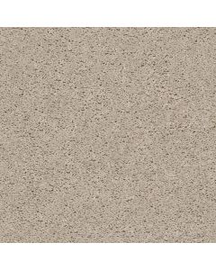 Shaw BREAK AWAY - SOLID Ecru Carpet - SH-5E243-00111