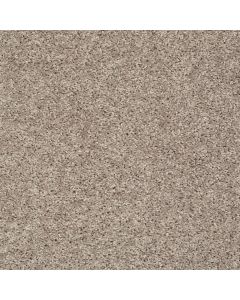 Shaw BREAK AWAY - SOLID Soft Taupe Carpet - SH-5E243-00501