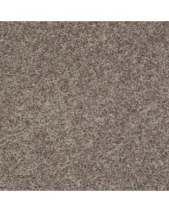 Shaw BREAK AWAY - SOLID Charcoal Carpet - SH-5E243-00502